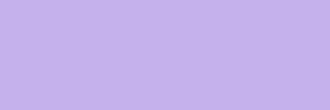 violettulip